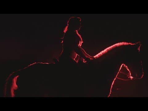 Post Animal cover
