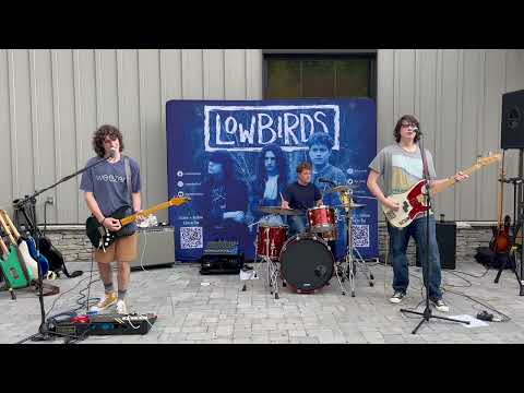 Low Birds cover