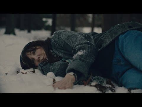 hey, nothing, Brother Bird cover
