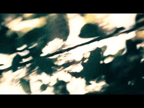 Zero Point cover
